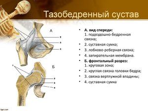 dijagnoza akutne boli u koljenu liječenje osteoartritisa artritisa bursitis