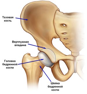 bol u zglobovima kuka i križnica deformirajući artroza koljena njegovo liječenje