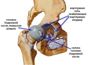 blokada zbog bolova u zglobovima koljena bol pri hodu daje u zglobu kuka