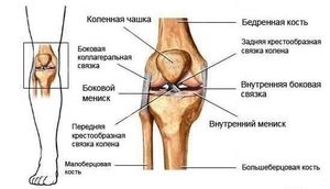 fizioterapeutski tretman zgloba koljena