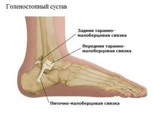 forum liječenje artroze gležnja artroza liječenja zgloba koljena 2 stupnja