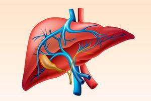 Hipertenzija, bolest sustava organa